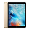 Reprise iPad Pro 9.7 Wi-Fi+4G