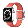 Reprise Watch Series 6 40mm boitier Acier inoxydable GPS
